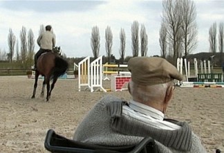 einlebenfuerdiepferde