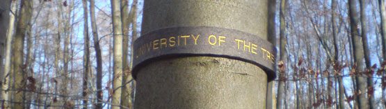 uot-D-close-up-tree-band-1-