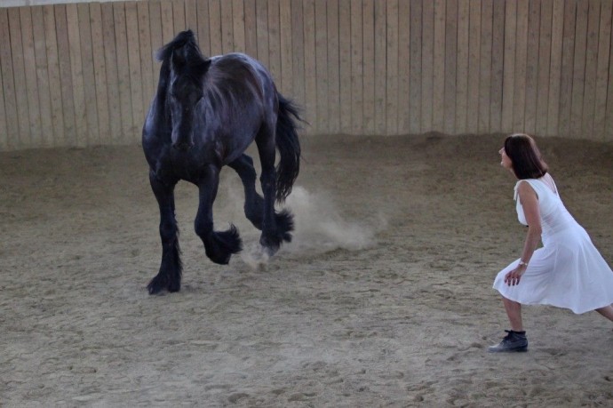 Elke Wedig beim „Horse Dancing“, mit Baron Foto: Ulrike Dietmann