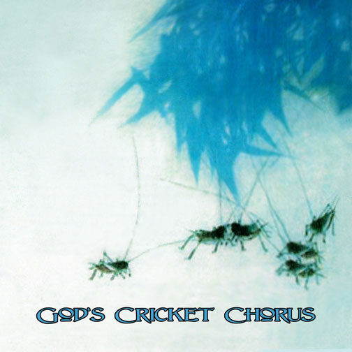 cricket-cover