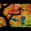 Herbstzauber 31897