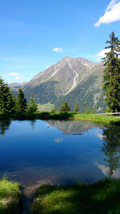 bergseekatja