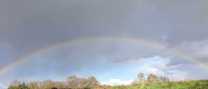 regenbogen