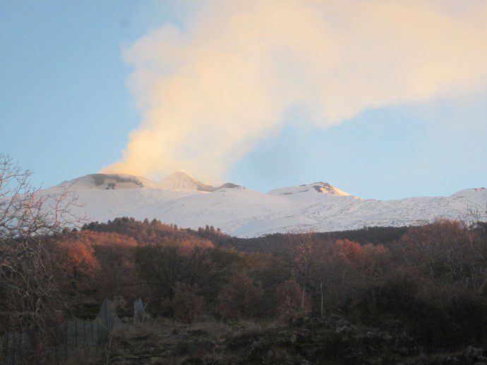 Heidrun Bomke