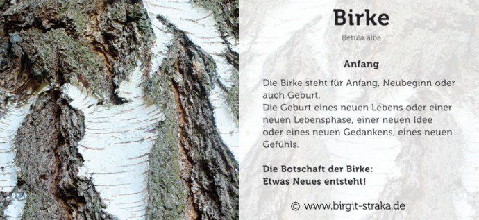 birke_birgit_straka