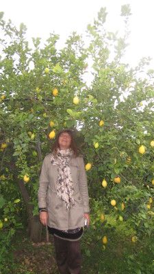 Heidrun im Land der Zitronen