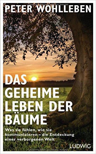 TV-Tipp: Das geheime Leben der Bäume