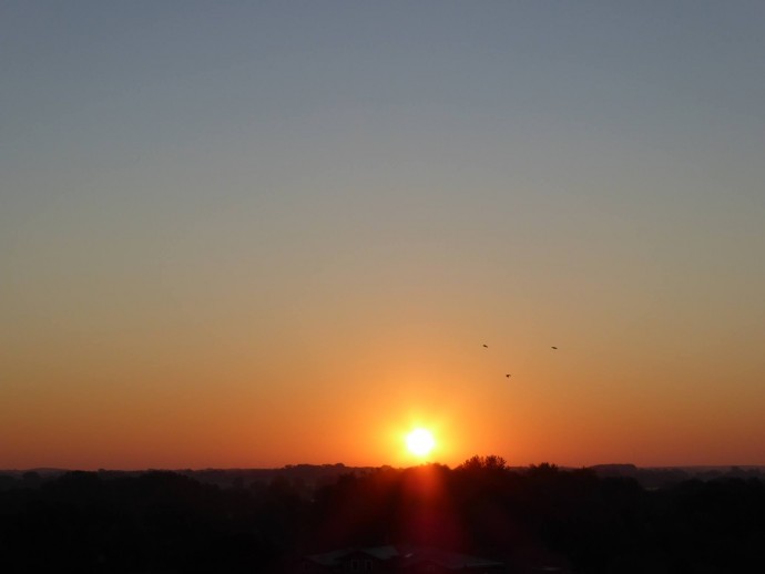 Lichtbild: Sonnenaufgang