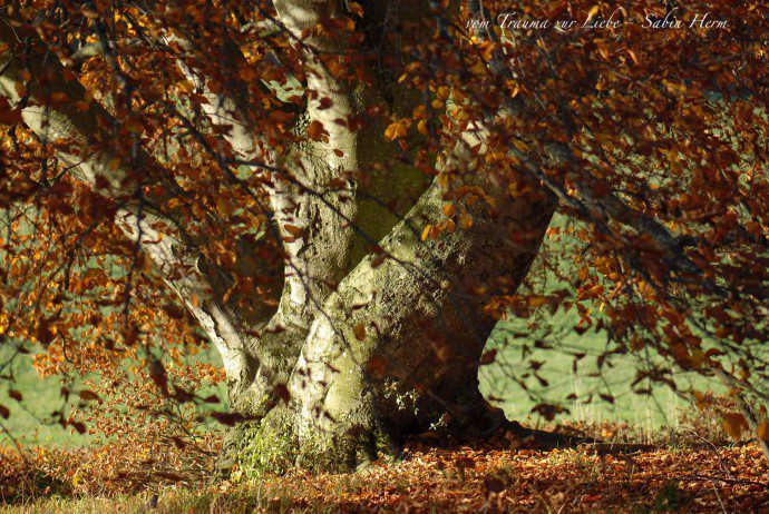 herbstbaum