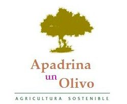 logo-ApadrinaUnOlivo