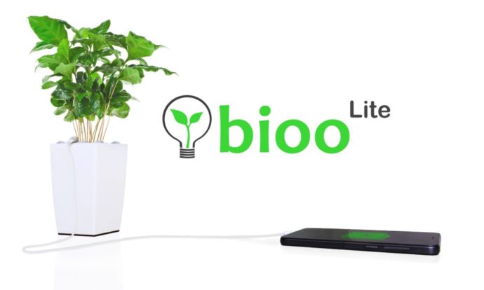 Wirklich grüner Strom: Bioo-Lite