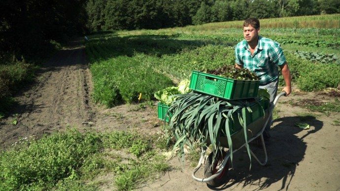 Foto: WDR Bauer Martin Schulze Schleithoff betreibt Solidarische Landwirtschaft