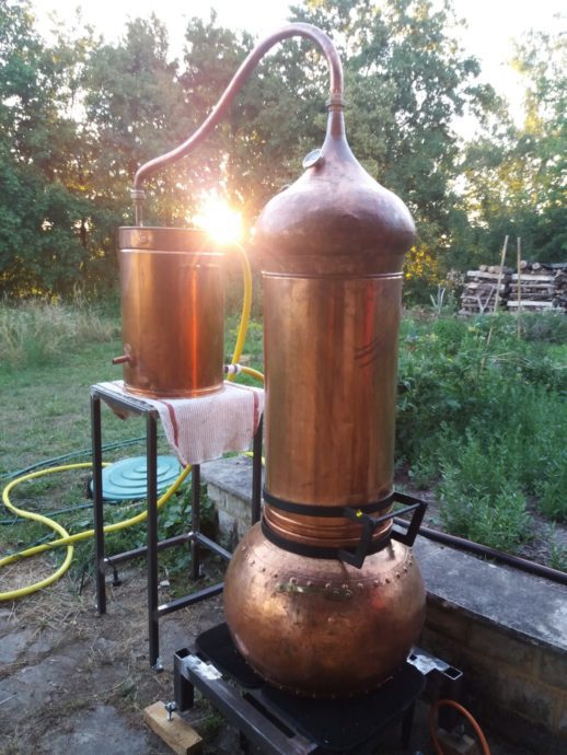 Der Ysop und sein Hydrolat: Wake up !