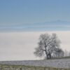 Hüterinnen und Hüter des Winters