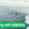 Surfen mit Delphinen