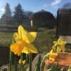 Warum immer früher Frühlingsanfang ist