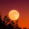 harvest-moon-1828012_960_720