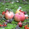 Eingebunden in den Kreis des Lebens – Foto Sabrina Gundert