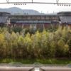 Ein Wald im Fußballstadion: For Forest