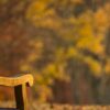 Poesie: Der scheidende Sommer