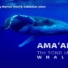 AMA’ARA – The SONG of the WHALES