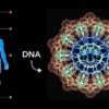 Heilige Geometrie in unserer DNA