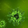 Sind Viren fühlende Wesen?