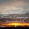 Verbinde Dich Tag 15: Lichtbilder