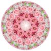 Licht und Farben für Dich: ROSA