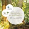 Deutschland geht waldbaden