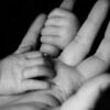 Verbindung ist die Mutter aller Dinge