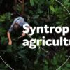 Syntropie - Vielfalt im Einklang mit der Natur