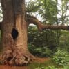 Kleine Flecken – Biotope der Hoffnung