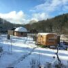 Lichtbild: Winterwonderland im Norden