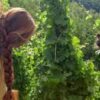 Winzer ohne Weingut