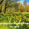 Sternennews April