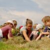 Homo Communis: Wir für alle