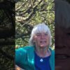 Möge Heilung geschehen – Einladung zum Singen