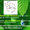 Lichtbild: Die Generation des neuen Jahrtausends