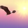 Sternennews: Sommer und Freiheit