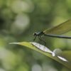 Sternennews: Achtsam bleiben