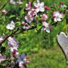Hilfreiche Wege entdecken wenn Not uns fordert