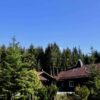 Ein Dorf im Wald – eine Einladung