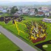 Lichtbild: Reisfeldkunst