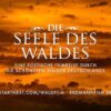 Filmprojekt: Die Seele des Waldes