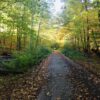 Lichtbild: Goldener Oktober