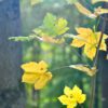 Gedanken zum Oktober in Wort und Ton