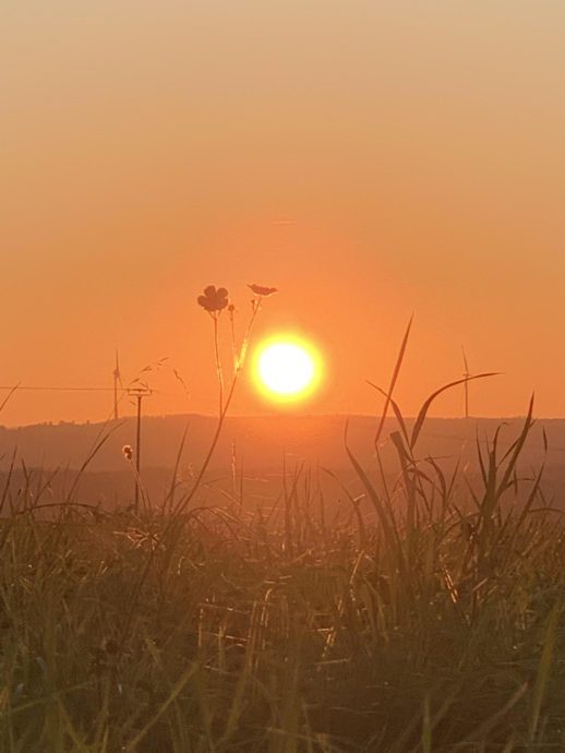 Lichtbild: Oktobersonne