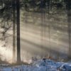 Dich in die Natur verlieben und deinem Abenteuerherz Raum schenken