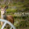 Wilde Medizin: Die Superkräfte der Tiere